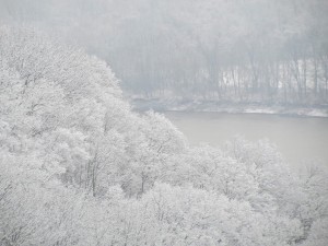 snowy river