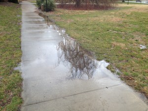 spring puddle