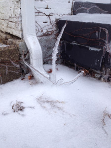 What is this? An ice monster?