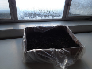 My short-lived garden box